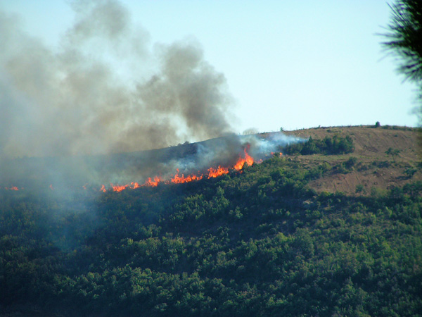 Forest Fire Below Civita