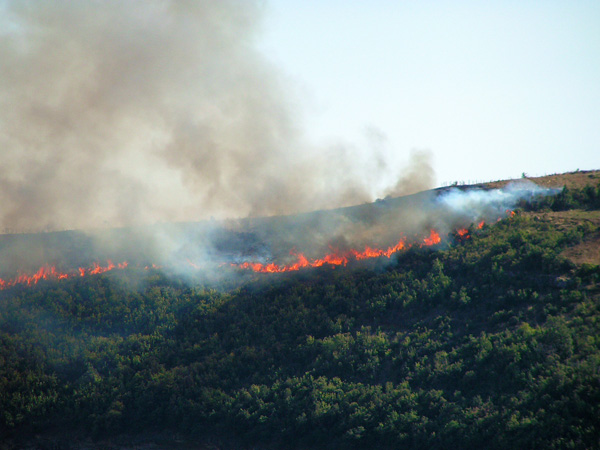 Forest Fire Below Civita