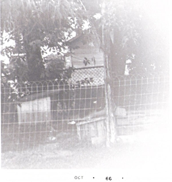 Dog Pen at Grace St.