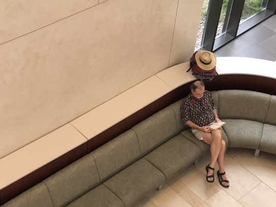 Spring Training Shepard Awaiting His Flock at the MIM