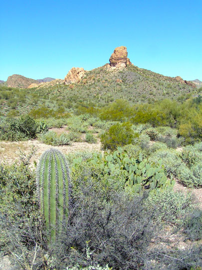 Spring Training Optional Day Trip - Apache Trail
