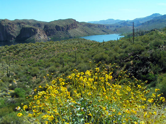 Spring Training Optional Day Trip - Apache Trail