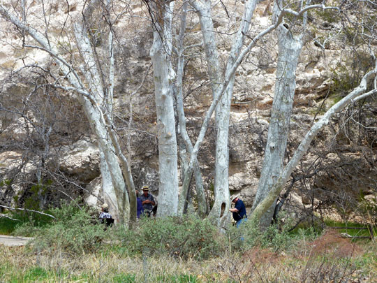 Spring Training Optional Trip to Sedona & Verde Valley - Montezuma Castle