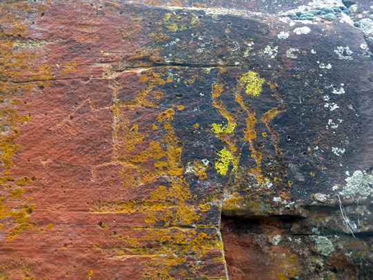 Spring Training Optional Trip to Sedona & Verde Valley - Red Tank Draw Petroglyphs
