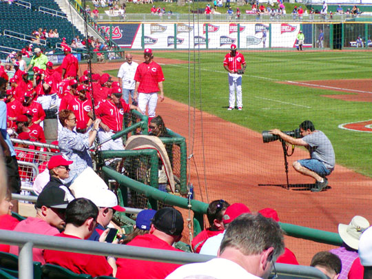 Cincinnati Spring Training Goodyear Baseball Park