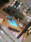 Spring Training - Flat Nat at the Four Points Indoor Pool