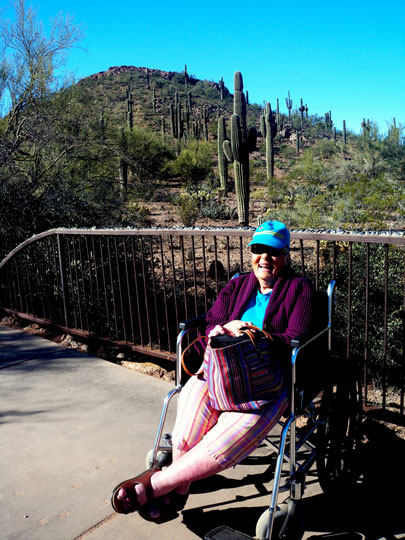 Spring Training Sightseeing at Phoenix Desert Botanical Garden 1