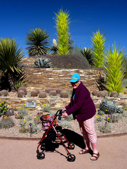 Spring Training Sightseeing at Phoenix Desert Botanical Garden 2