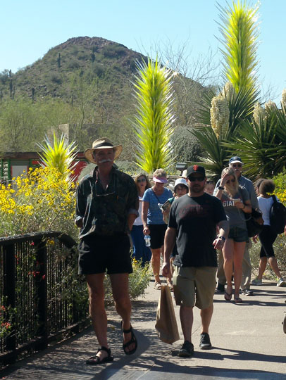 Spring Training Sightseeing at Phoenix Desert Botanical Garden 3