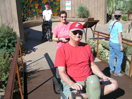 Spring Training Sightseeing at Phoenix Desert Botanical Garden 4