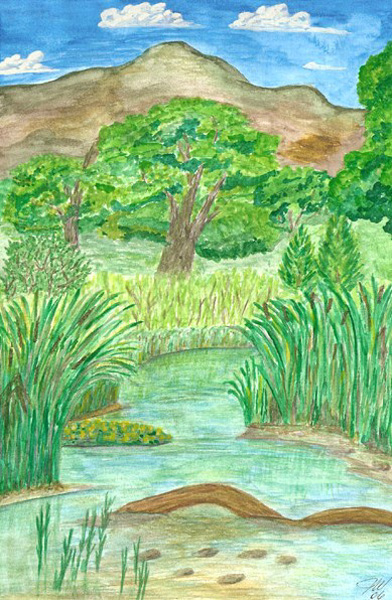 Verde River at Dead Horse Ranch