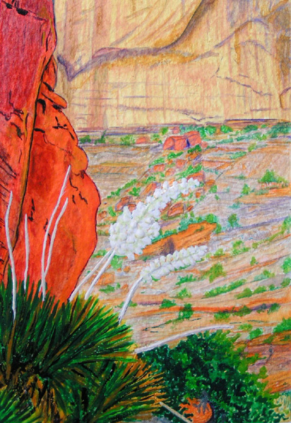 Yuccas in Ladd Pool Canyon